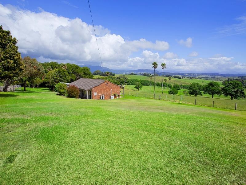 199 Long Brush Road, Jerrara NSW 2533
