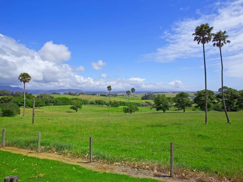 199 Long Brush Road, Jerrara NSW 2533