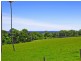 199 Long Brush Road, Jerrara NSW 2533
