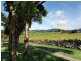 41 Jerrara Road, Jamberoo NSW 2533