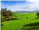 41 Jerrara Road, Jamberoo NSW 2533