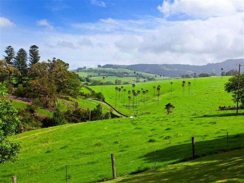 41 Jerrara Road, Jamberoo NSW 2533