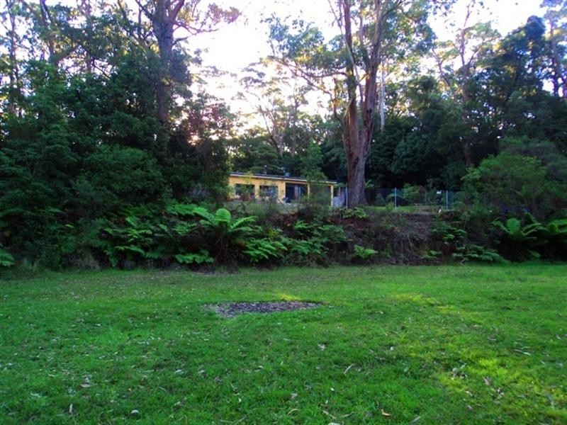 55 Williams Road, Kiama NSW 2533