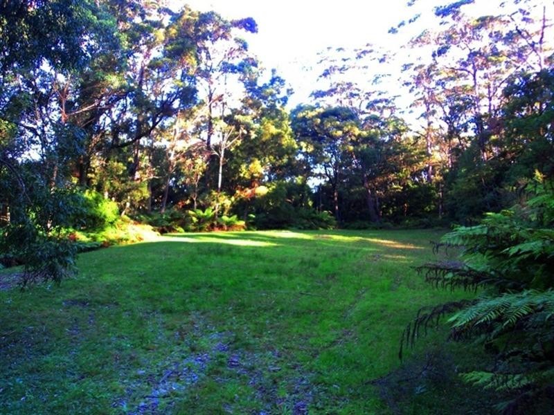 55 Williams Road, Kiama NSW 2533