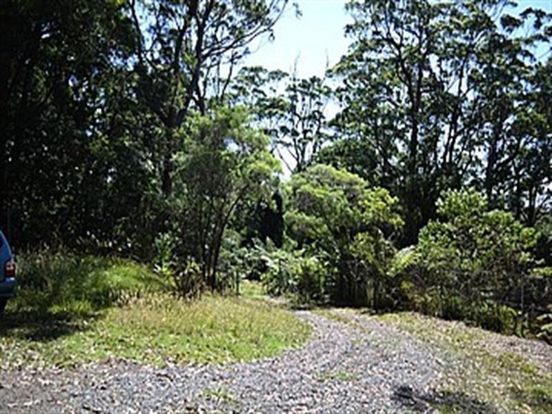 55 Williams Road, Kiama NSW 2533