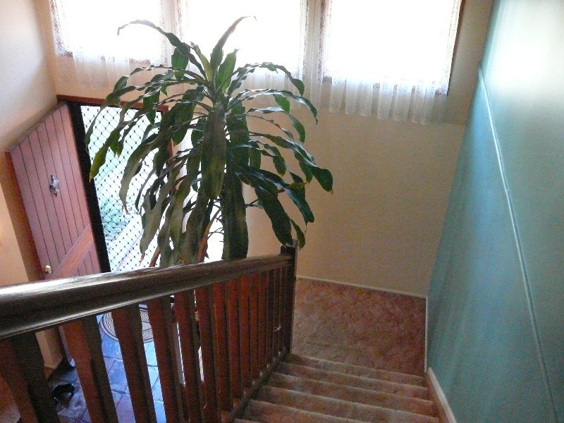 13 Circle Court, Rochedale South QLD 4123