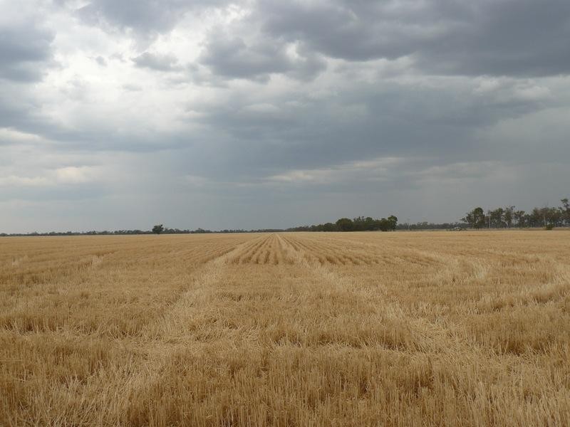 Goondiwindi QLD 4390