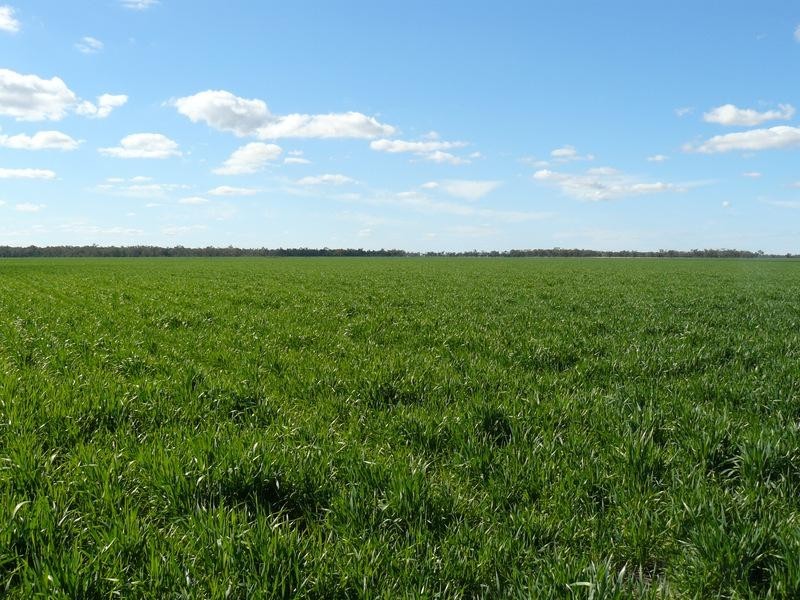 Goondiwindi QLD 4390