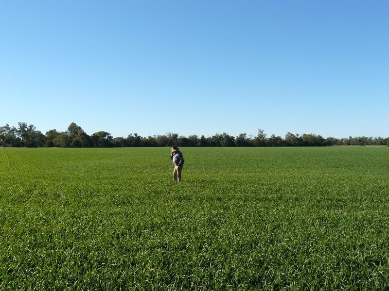 Pallamallawa NSW 2399