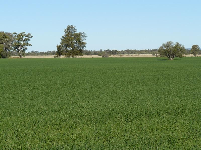 Pallamallawa NSW 2399