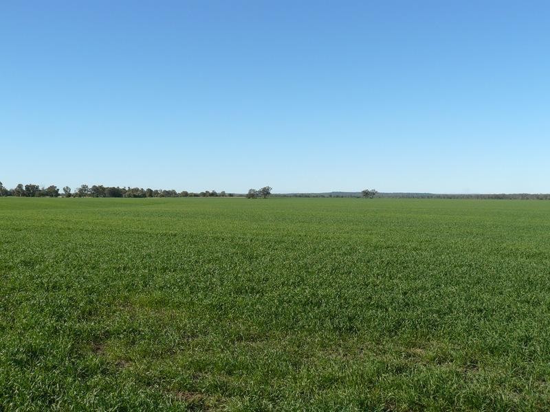 Pallamallawa NSW 2399