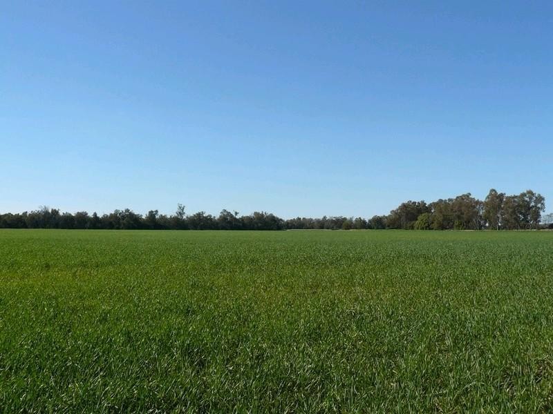 Pallamallawa NSW 2399