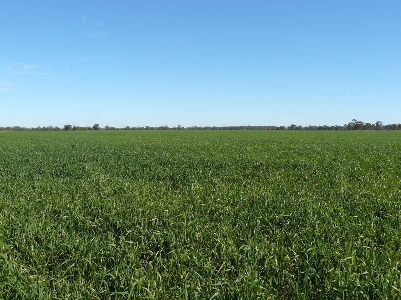 Pallamallawa NSW 2399