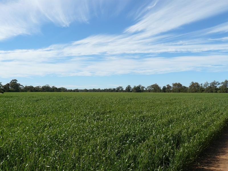 Pallamallawa NSW 2399