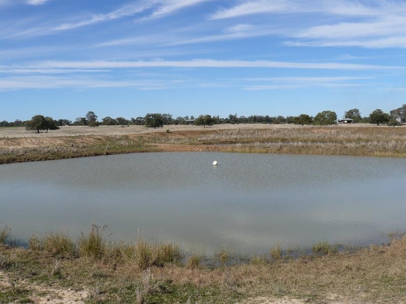 Pallamallawa NSW 2399