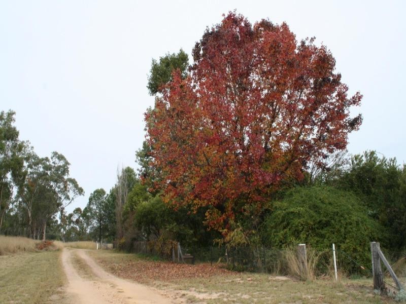 9 Queen Street, Warialda NSW 2402