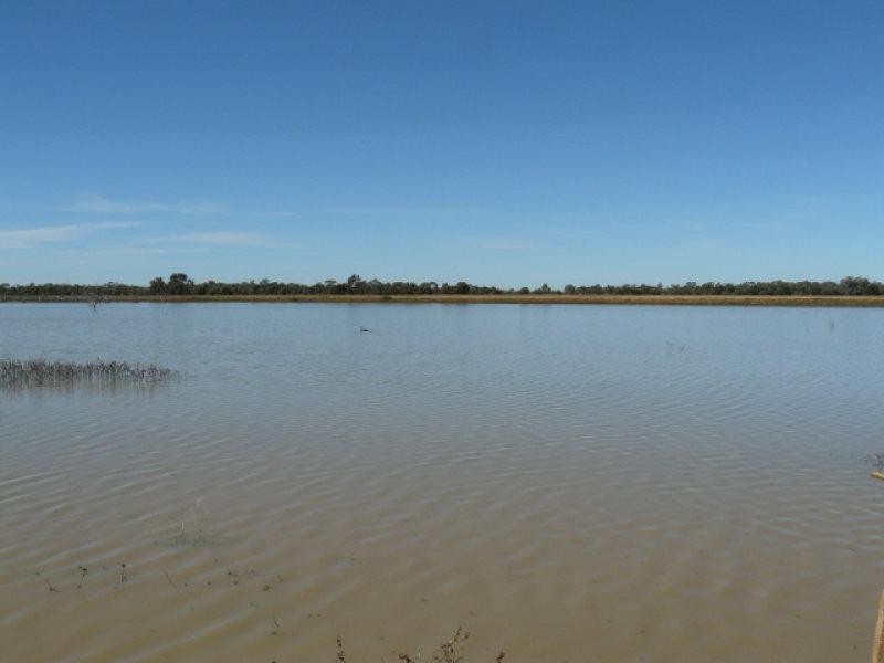 2 Nyngan Street, Brewarrina NSW 2839