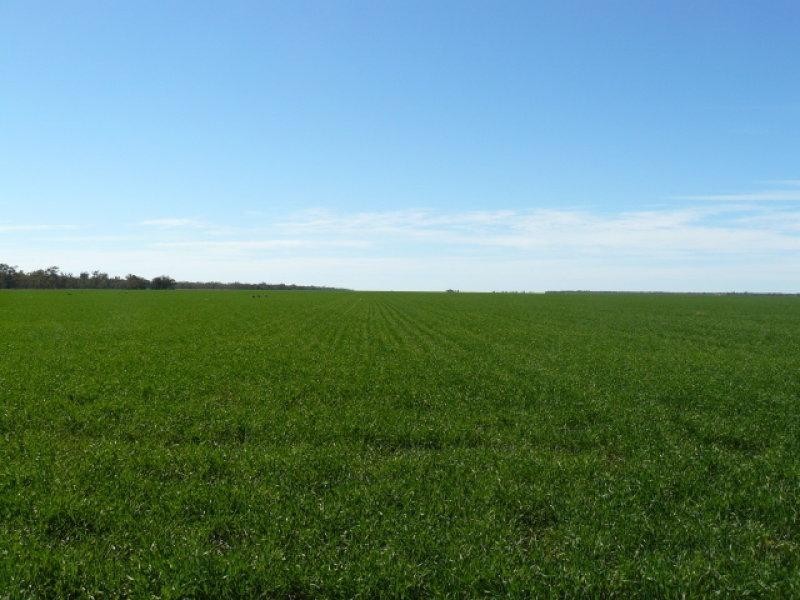 2 Nyngan Street, Brewarrina NSW 2839