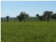 ” Colomie “, Wallangra NSW 2360