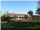 ” Colomie “, Wallangra NSW 2360
