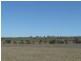 ” Colomie “, Wallangra NSW 2360