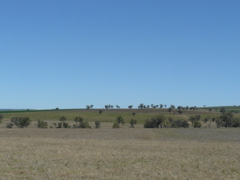 ” Colomie “, Wallangra NSW 2360