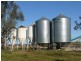 ” Colomie “, Wallangra NSW 2360