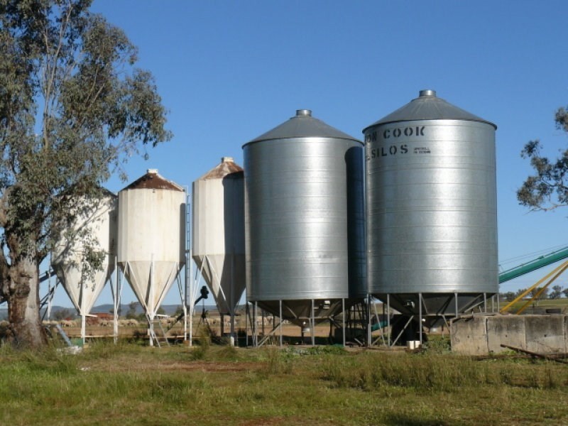 ” Colomie “, Wallangra NSW 2360