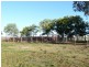 ” Colomie “, Wallangra NSW 2360