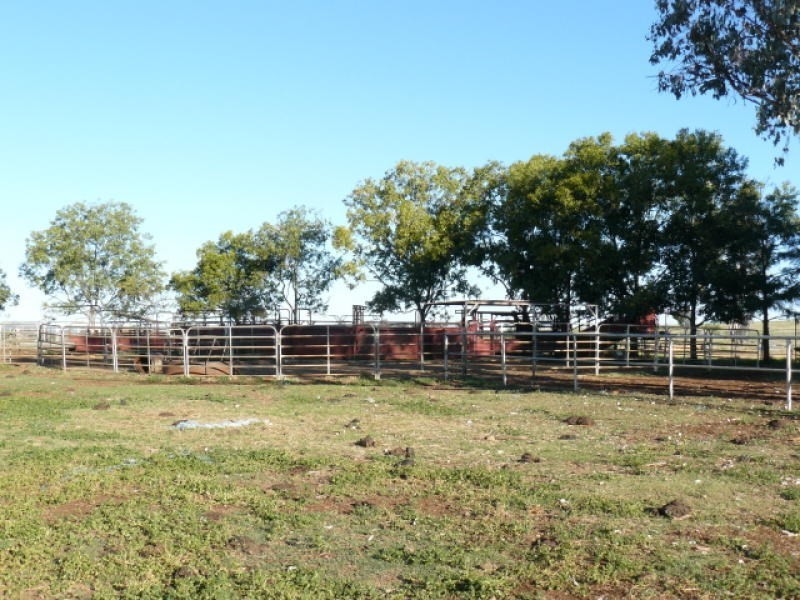 ” Colomie “, Wallangra NSW 2360