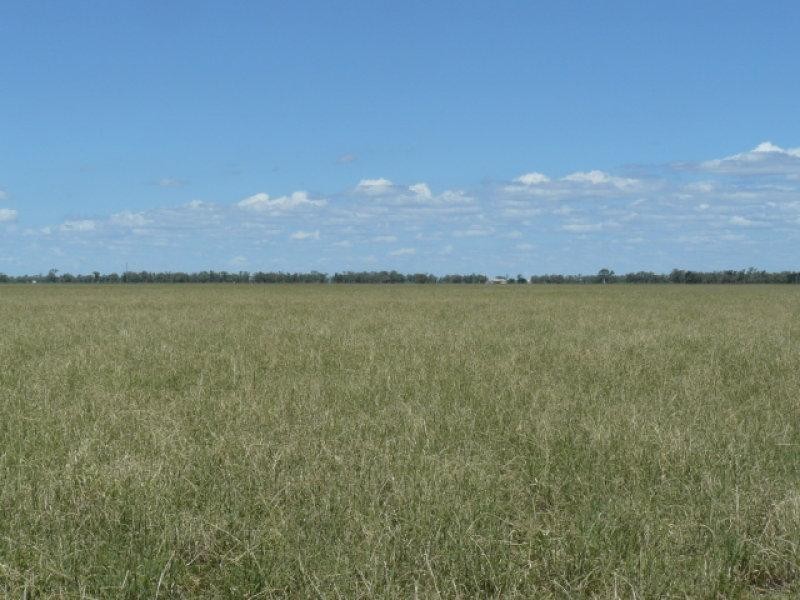 Wee Waa NSW 2388