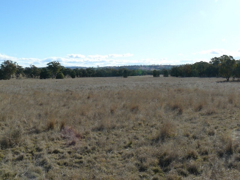 ” Taringa “, Warialda NSW 2402