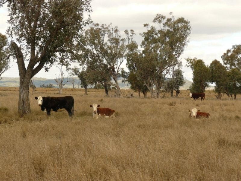 28 Elcombe Road, Bingara NSW 2404