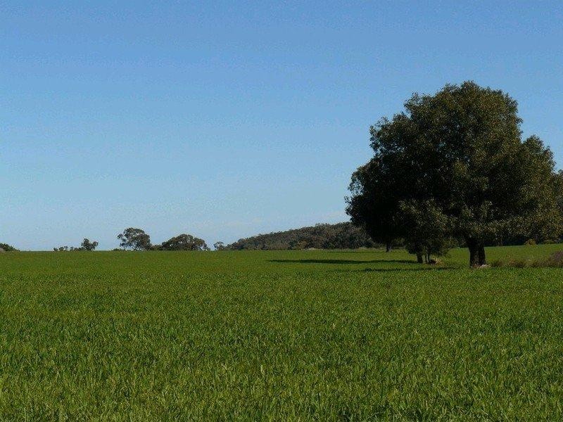 Bellata NSW 2397