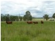 Bellata NSW 2397