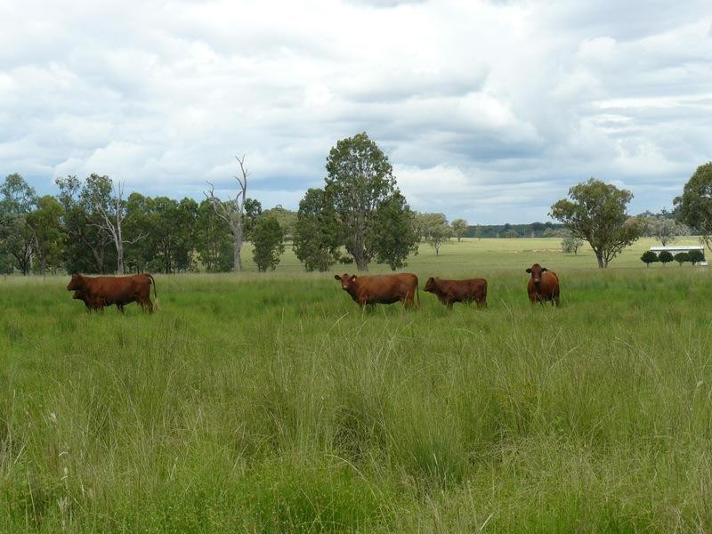 Bellata NSW 2397