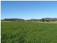 Bellata NSW 2397