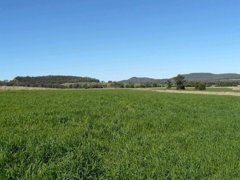 Bellata NSW 2397