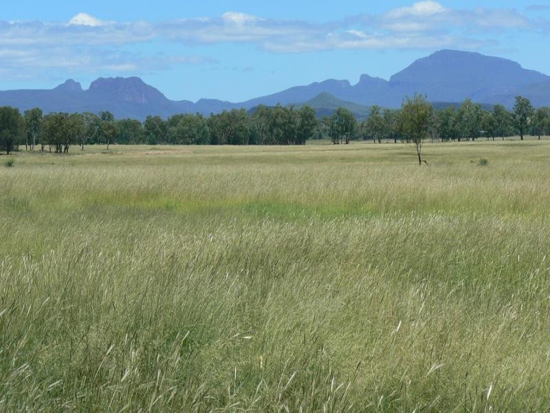 Bellata NSW 2397