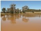 Bellata NSW 2397
