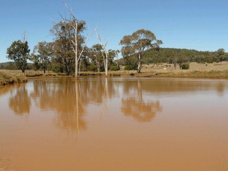Bellata NSW 2397