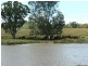 Bellata NSW 2397
