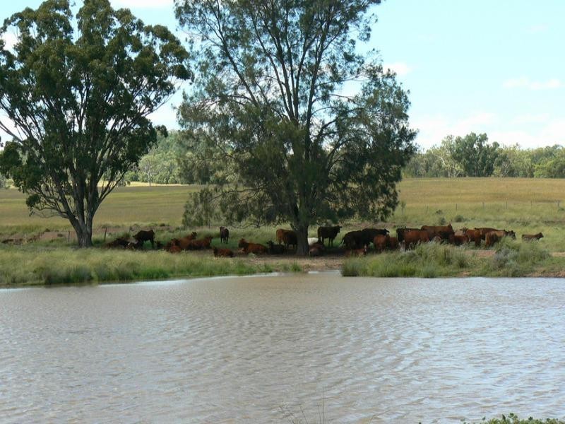 Bellata NSW 2397