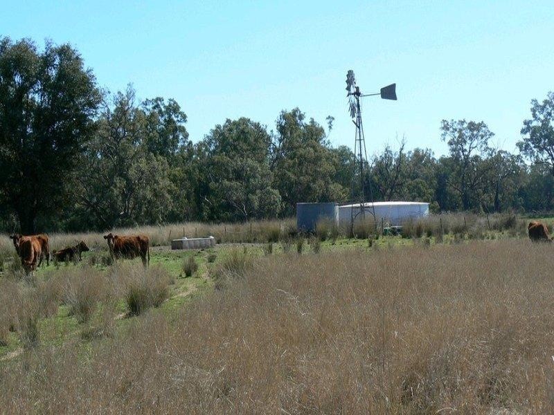 Bellata NSW 2397