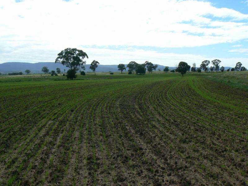 Bellata NSW 2397