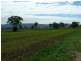 Bellata NSW 2397