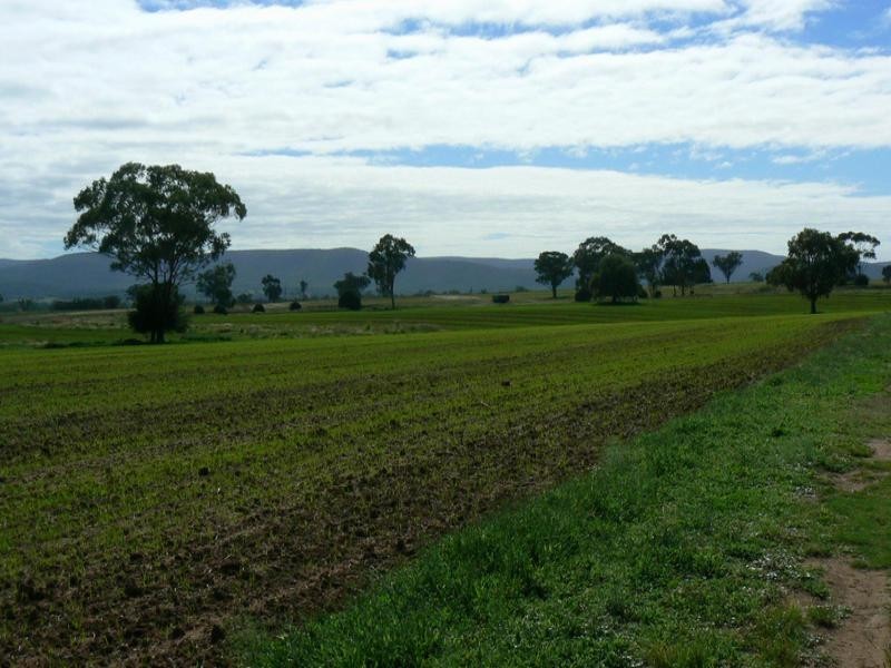 Bellata NSW 2397