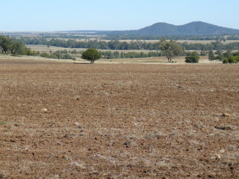 ” Forestvale “, Moree NSW 2400