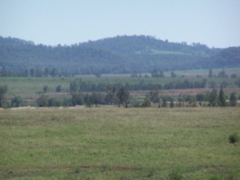 ” Forestvale “, Moree NSW 2400