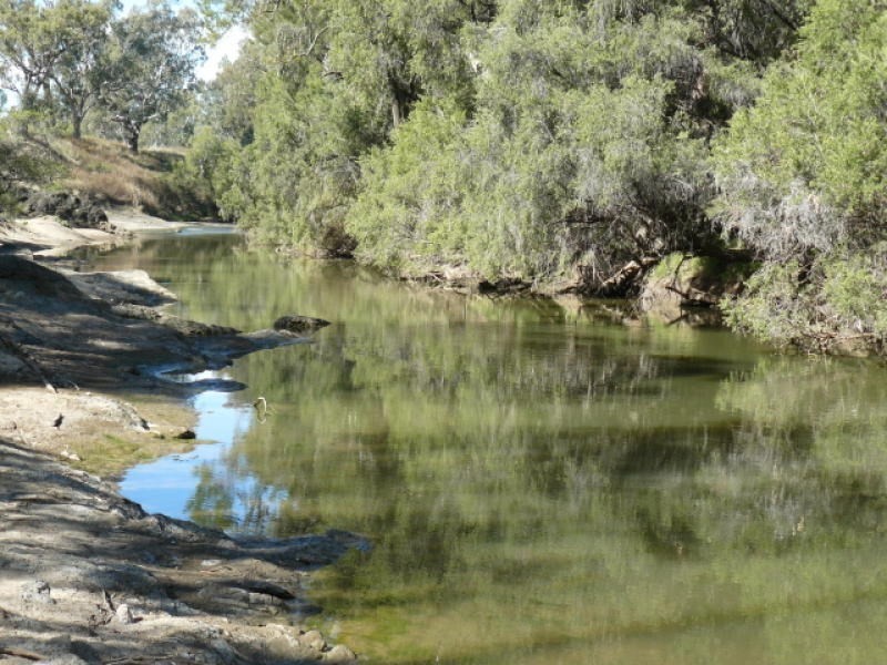 ” Forestvale “, Moree NSW 2400